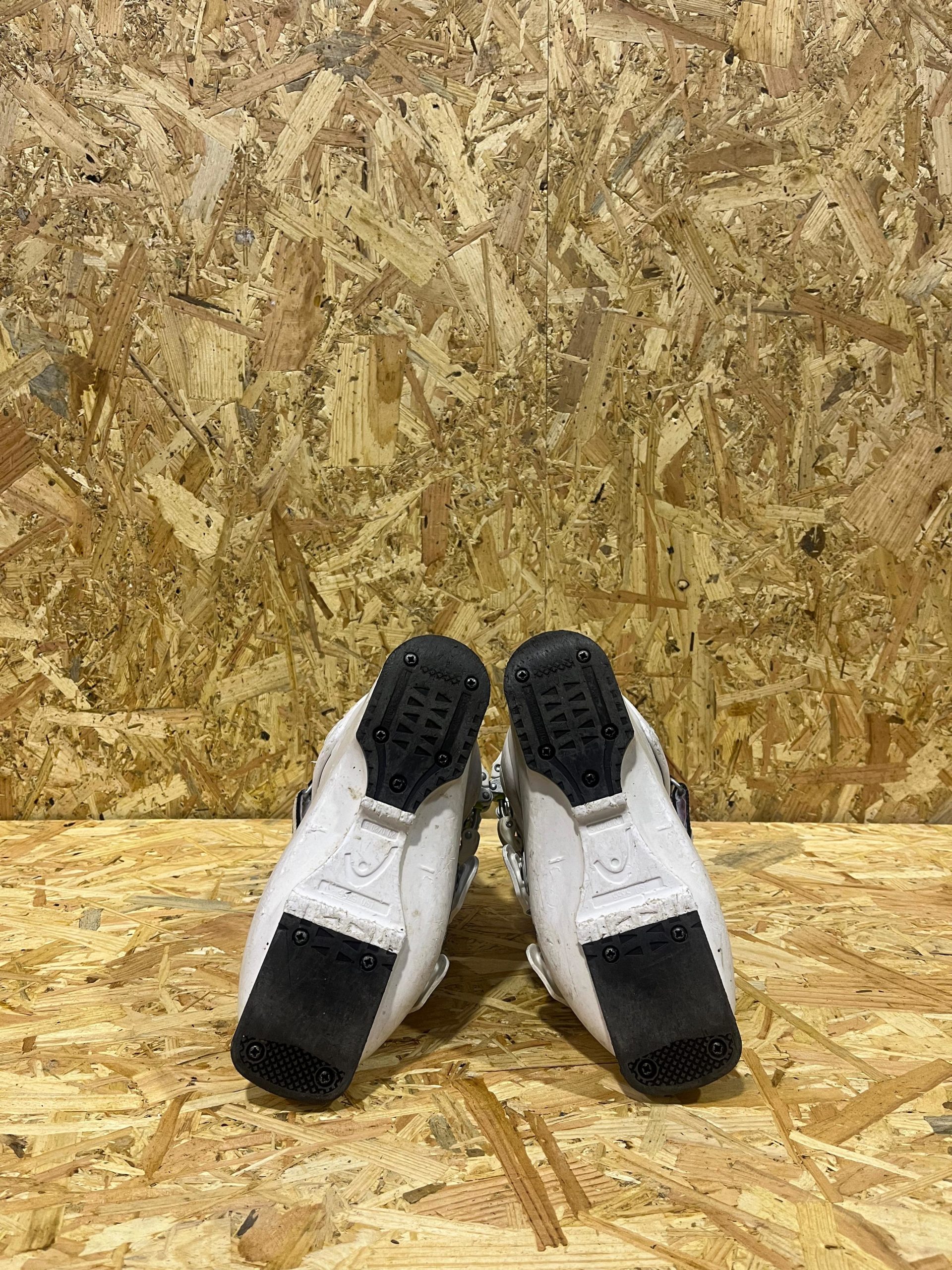 HEAD RAPTOR - Imagen 3