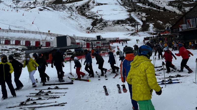 26284b50-56d4-4d1f-bf01-93a5304d980c